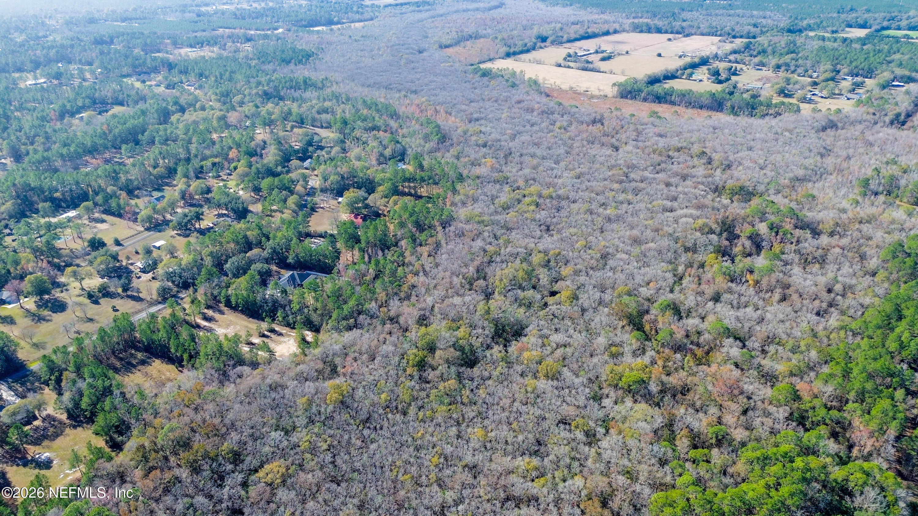 7847 Red Top Road Macclenny, FL 32063 - Photo 20 of 23 a view of a dry yard with large trees