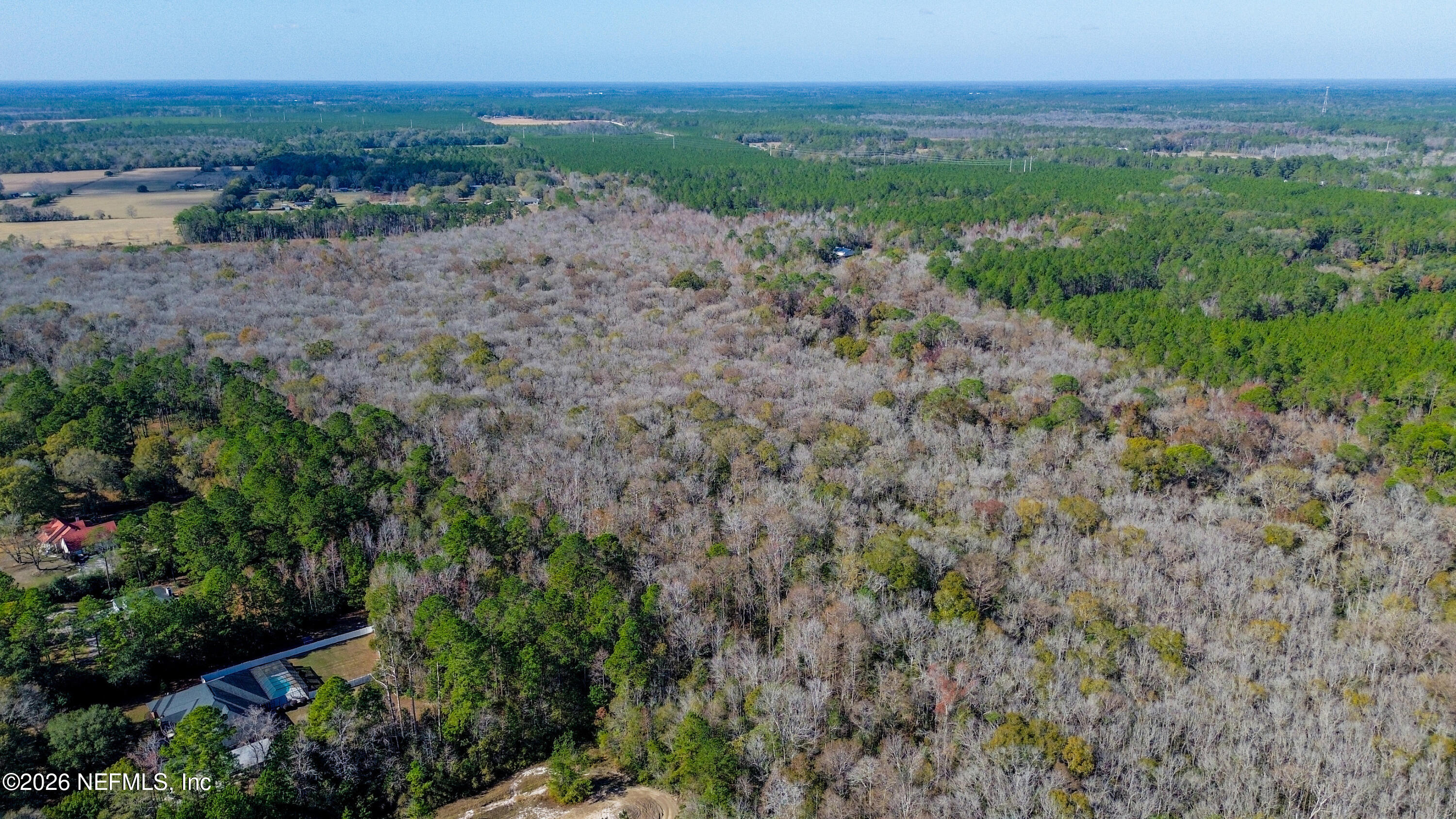 7847 Red Top Road Macclenny, FL 32063 - Photo 7 of 23 a view of a forest with a street