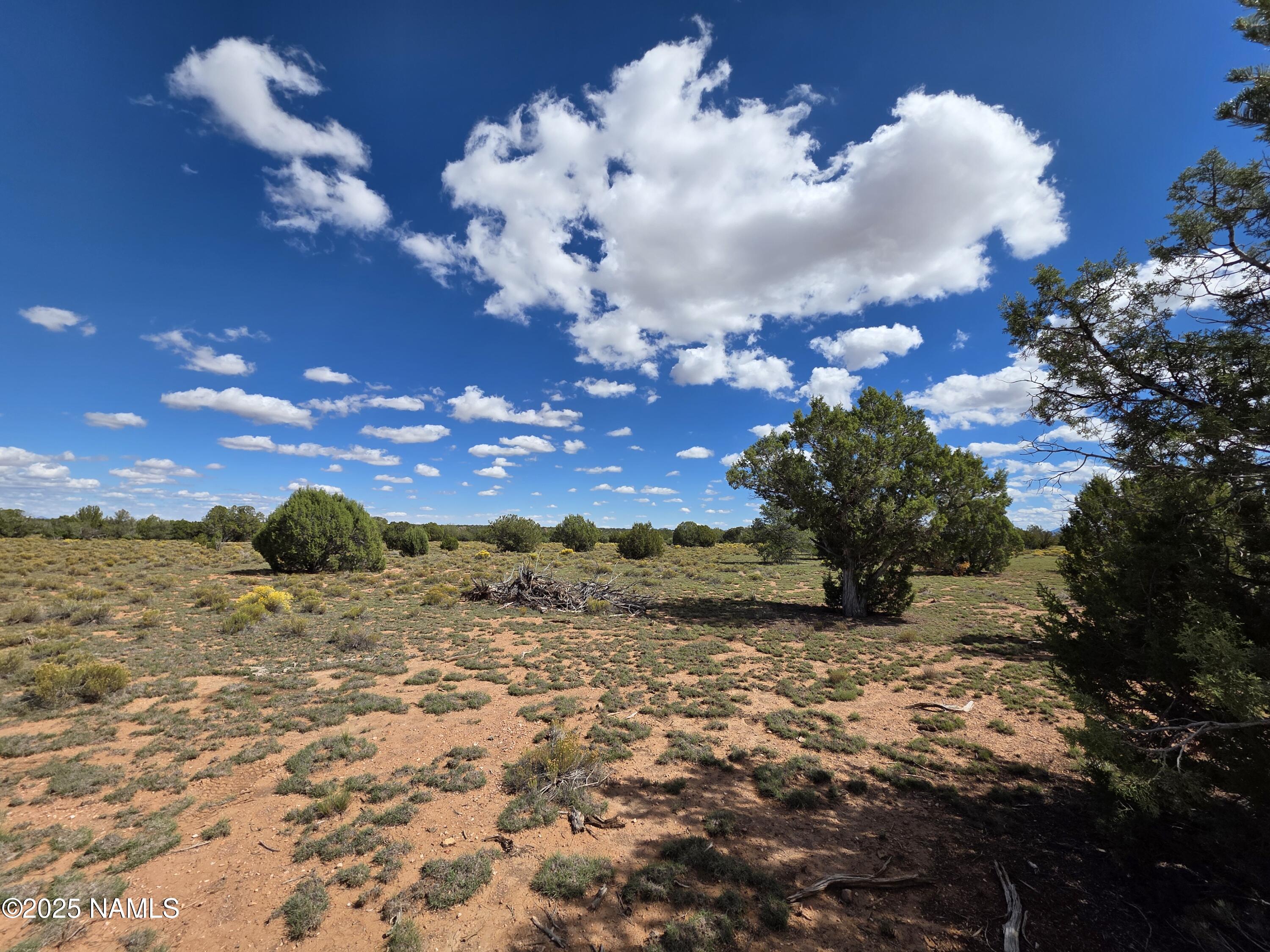 10422 West Red Bluff Road Williams, AZ 86046 - Photo 20 of 28 1000053455