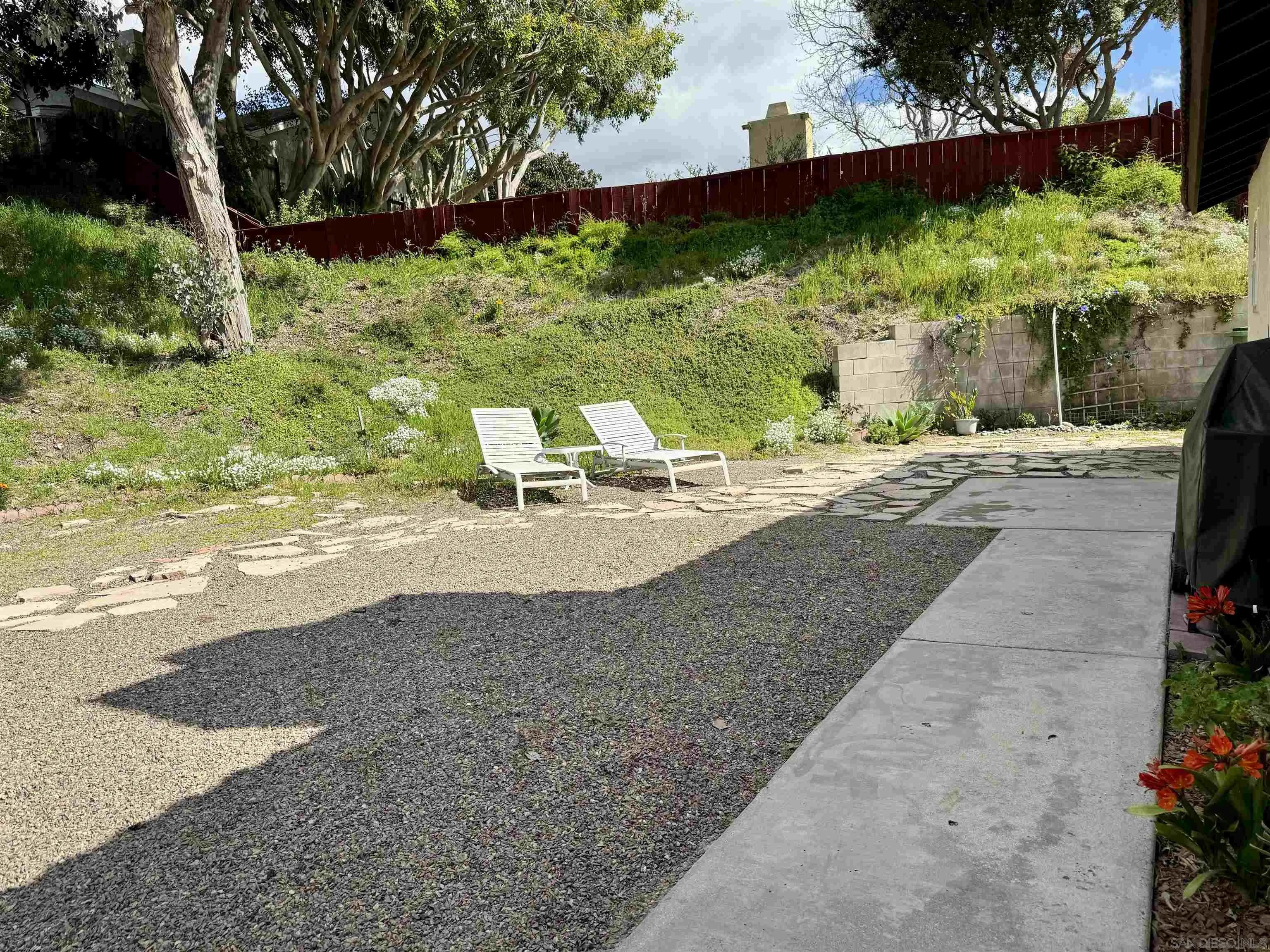 3754 Cameo Drive Oceanside, CA 92056 - Photo 24 of 31 a view of a backyard with plants and a tree