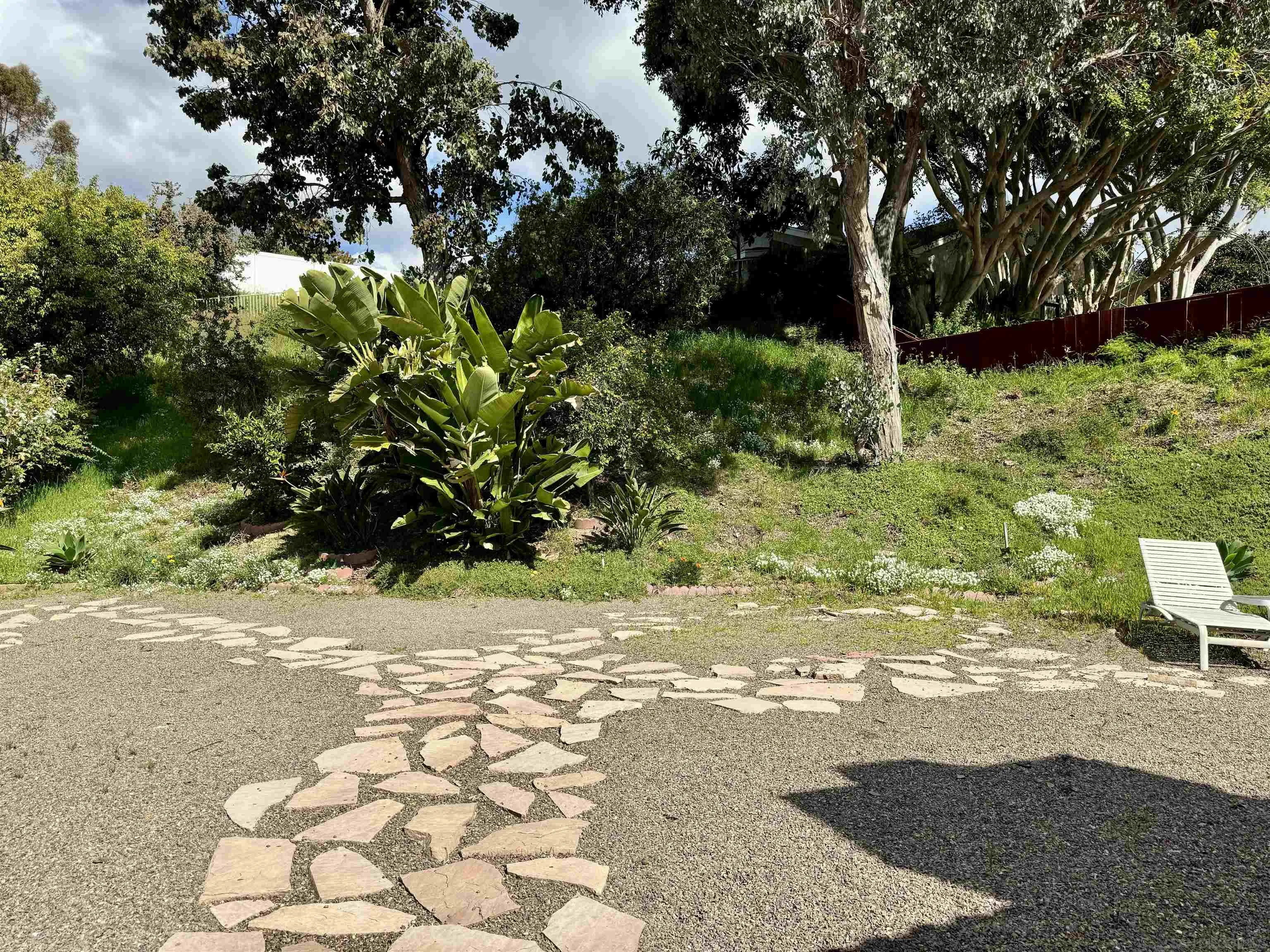 3754 Cameo Drive Oceanside, CA 92056 - Photo 26 of 31 a view of a yard with plants and trees