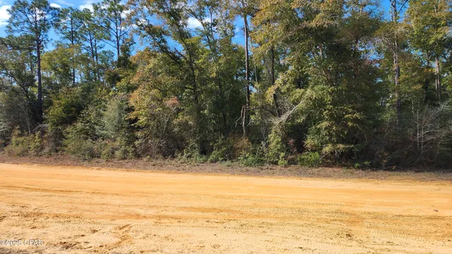 $17,900 | 0 Breese Court, Unit LOT 29, Alford, FL 32420