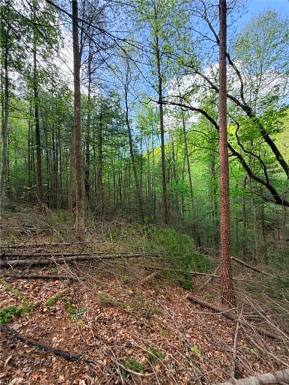 Tbd Shoe Road Millers Creek, NC 28651 - Photo 16 of 18