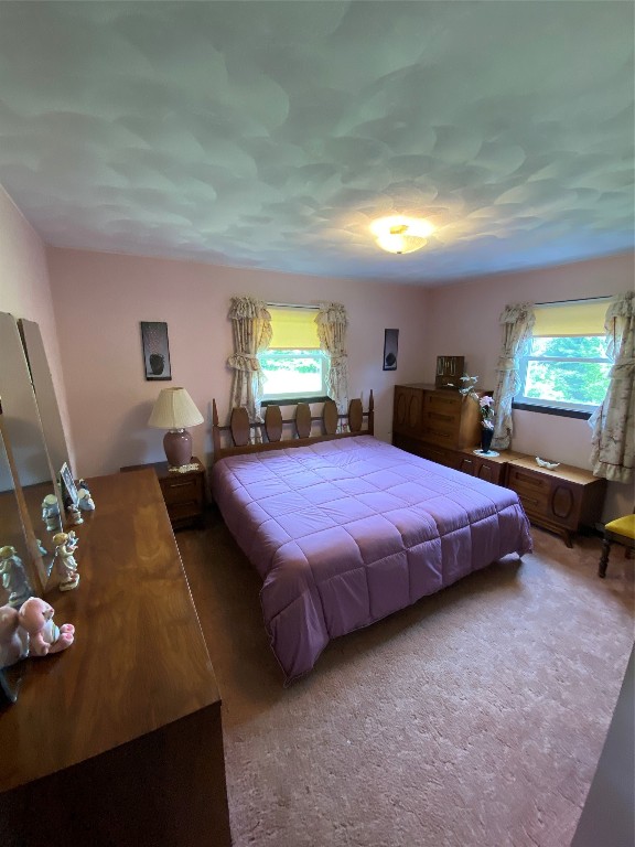 30 Hardy Road Johnson City, NY 13790 - Photo 19 of 30 Gallery Image 19
