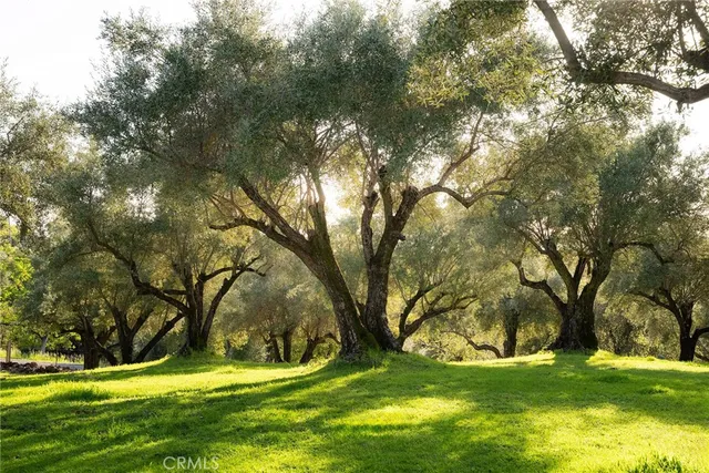 $1,649,000 | 3723 Foothill Boulevard, Oroville, CA 95966