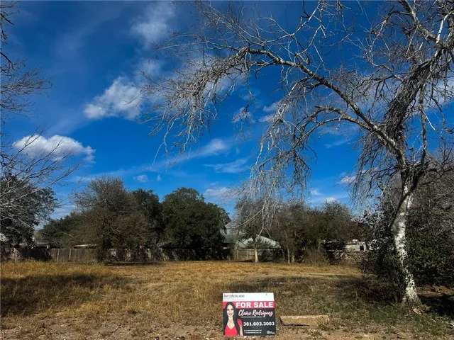 $30,000 | 0 Santa Rosa Drive, Alice, TX 78332