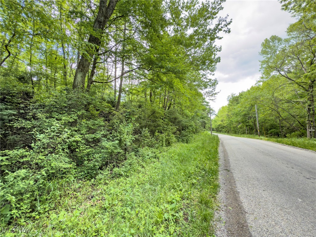 0 Dutch Ridge Road New Straitsville, OH 43766 - Photo 2 of 28 View of asphalt street featuring a forest view