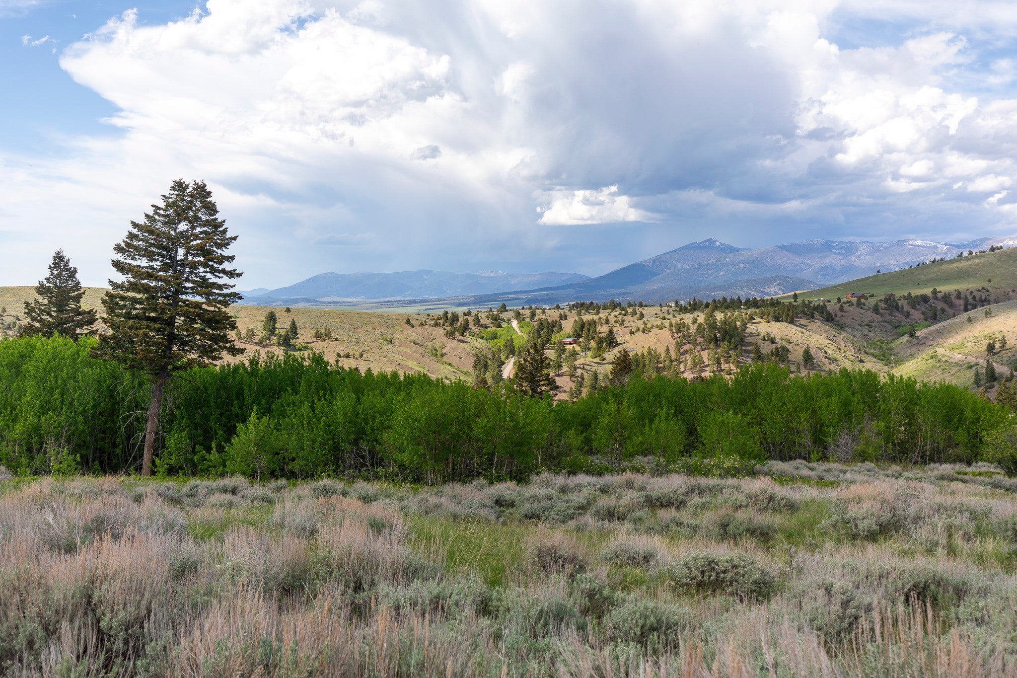386 Ross Gulch Road Townsend, MT 59644 - Photo 4 of 46 Gallery Image 4
