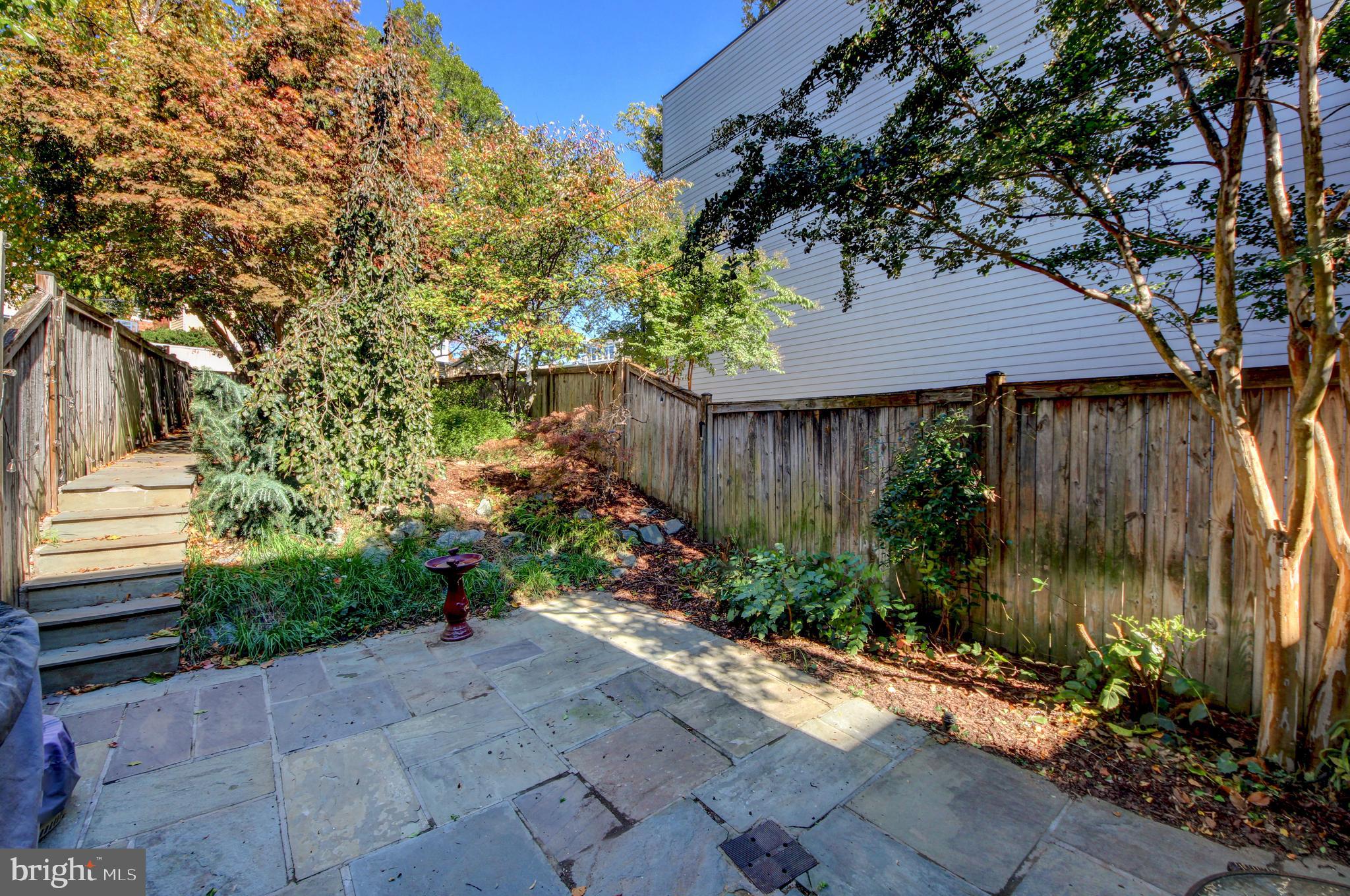 1321 Spring Road Northwest Washington, DC 20010 - Photo 19 of 30 a backyard of a house with plants and trees with wooden fence