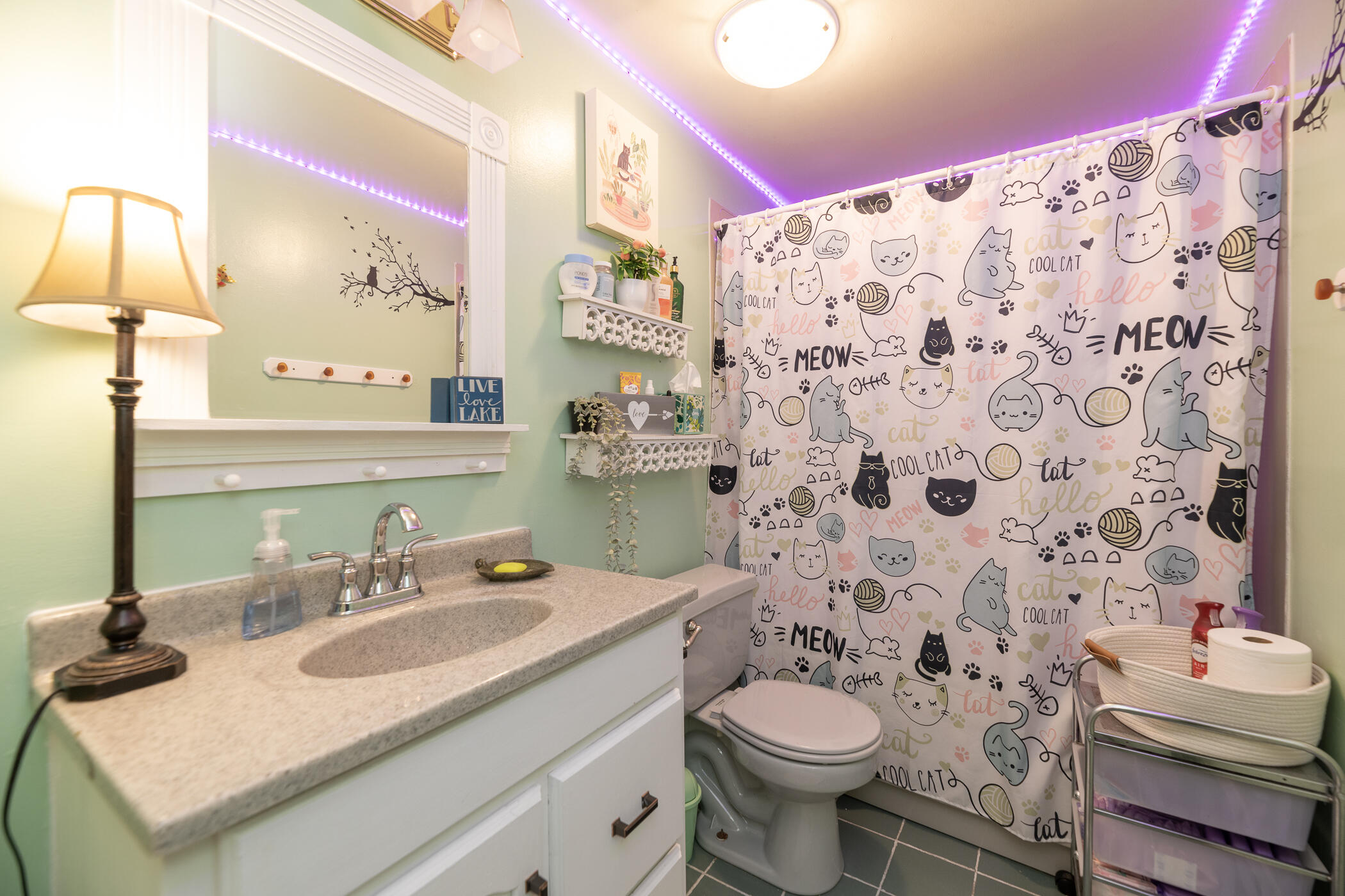 11230 Lakeshore Drive Three Rivers, MI 49093 - Photo 47 of 69 11230 Lakeshore Dr-31