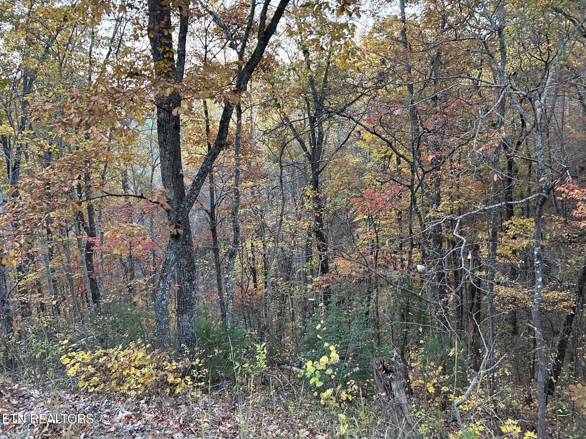 1 Sunset Road Sevierville, TN 37862 - Photo 5 of 6 Gallery Image 5