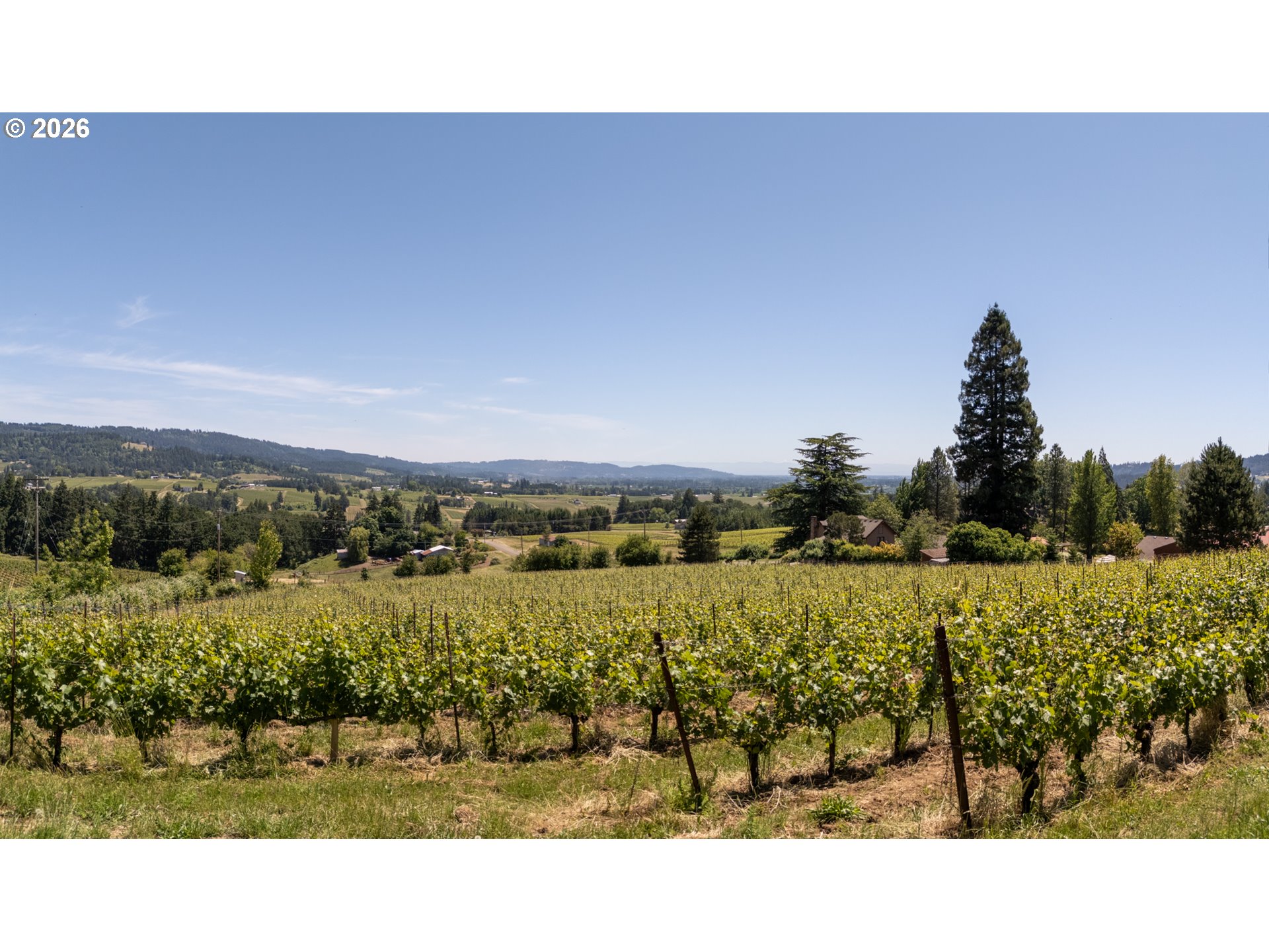 18000 Northeast Ribbon Ridge Road Newberg, OR 97132 - Photo 40 of 48