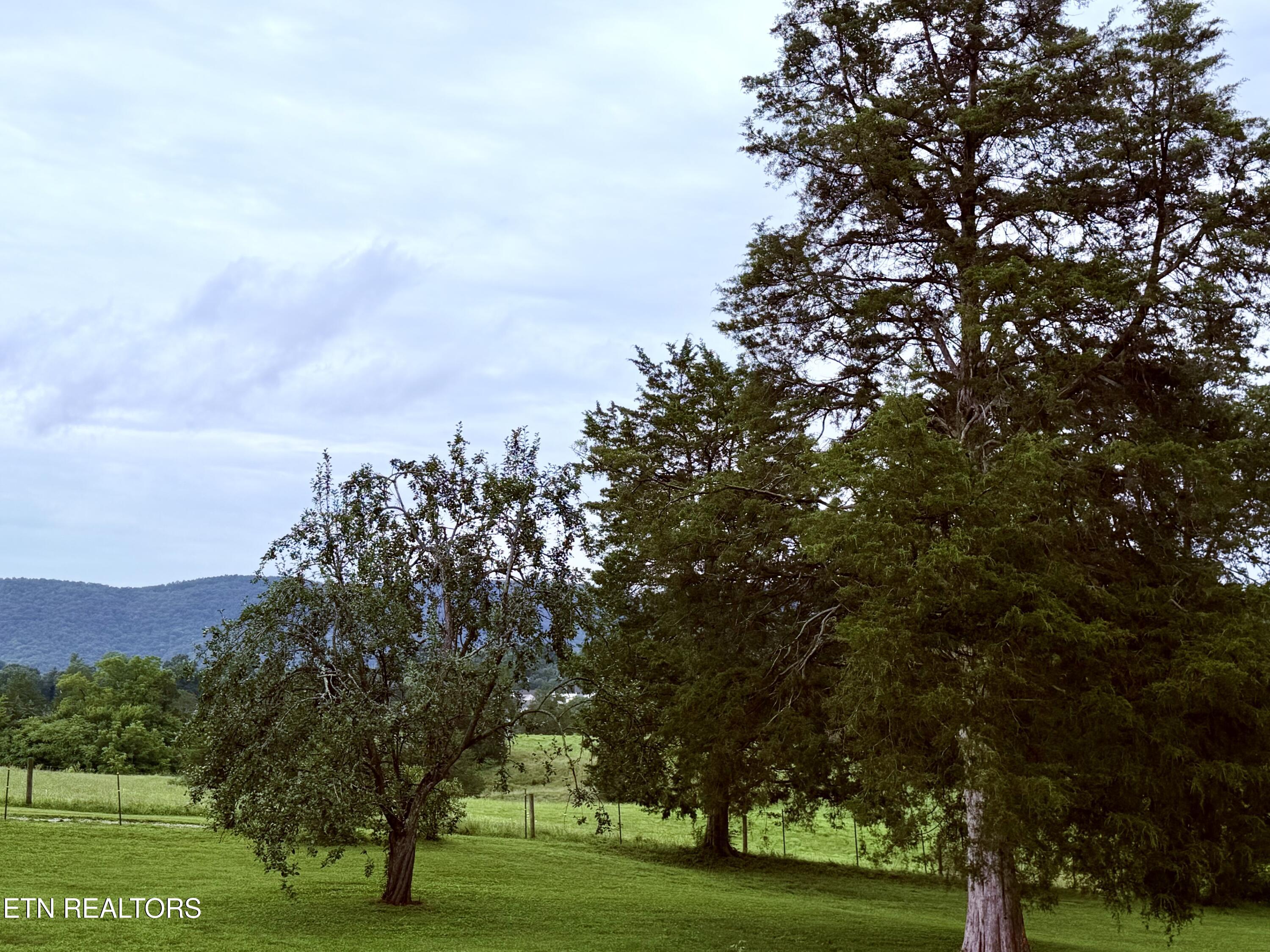 371 Pinecrest Road Jacksboro, TN 37757 - Photo 7 of 48 IMG_3298