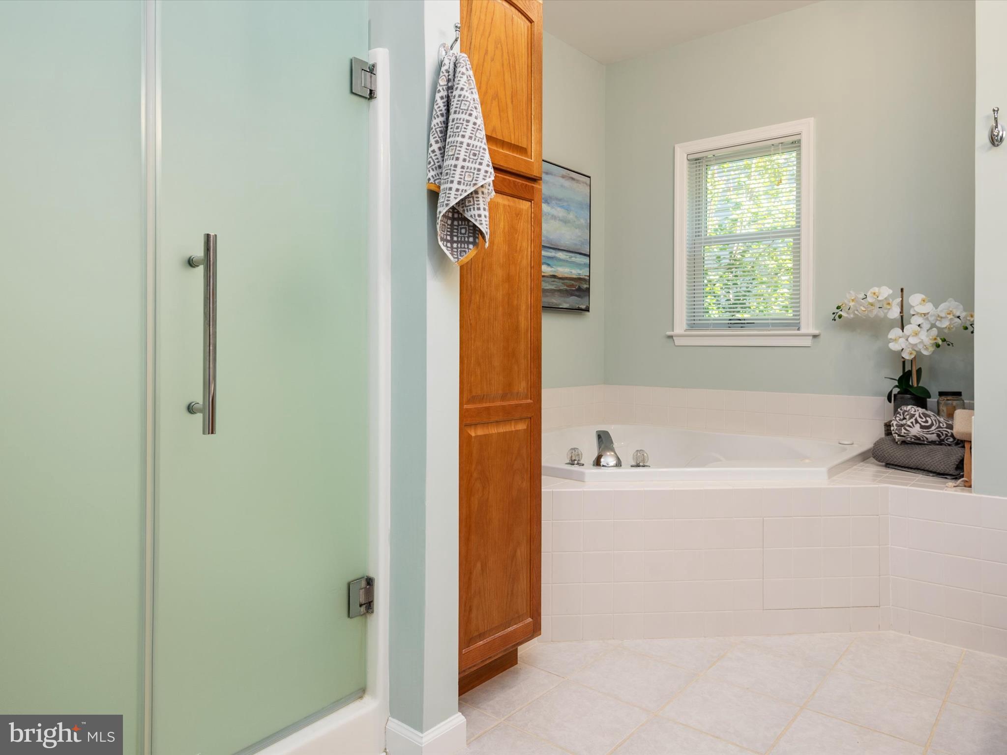 8206 Riverside Drive Pasadena, MD 21122 - Photo 38 of 62 Main level bath with forced air therapeutic tub