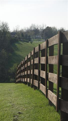 1115 Wildcat Road Lawrenceburg, KY 40342 - Photo 3 of 23 Your own piece of the Bluegrass on WILDC