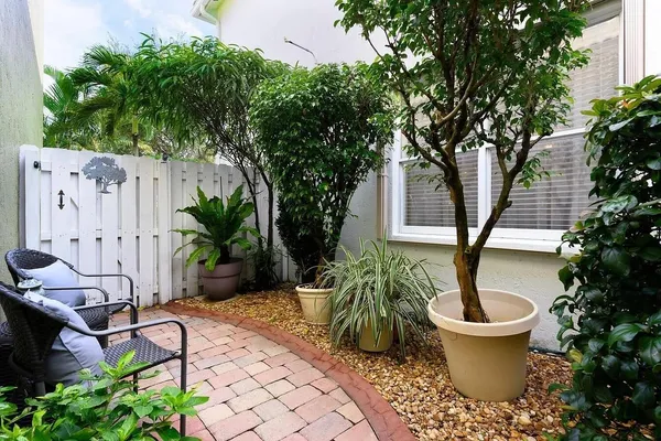 a view of a backyard with plants and a tree