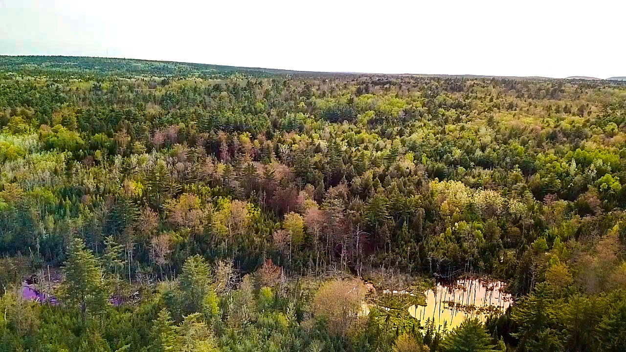 5-8 Boggy Brook Road Ellsworth, ME 04605 - Photo 8 of 28 Distant View