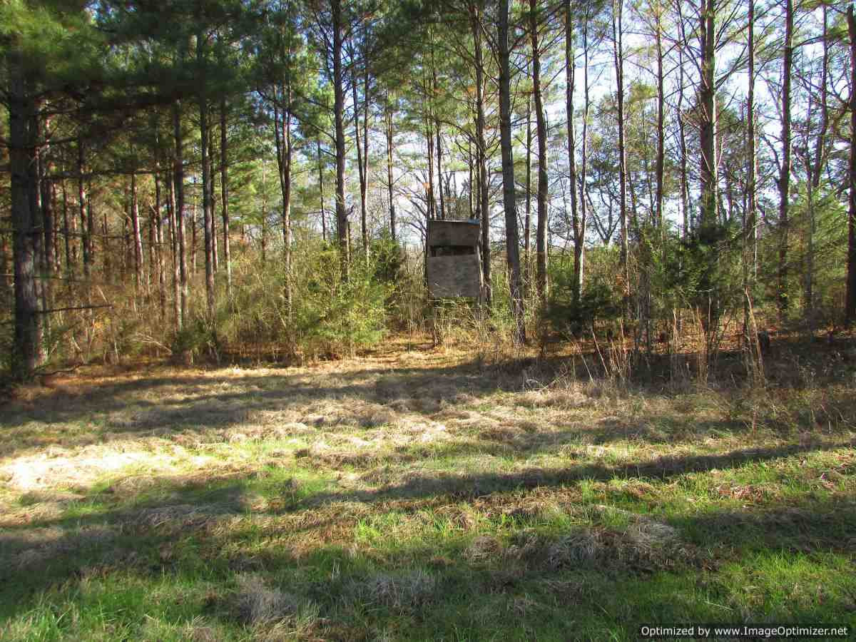 0 Stump Bridge Road, Unit STUMP BRIDGE Canton, MS 39046 - Photo 3 of 4 Photo 4