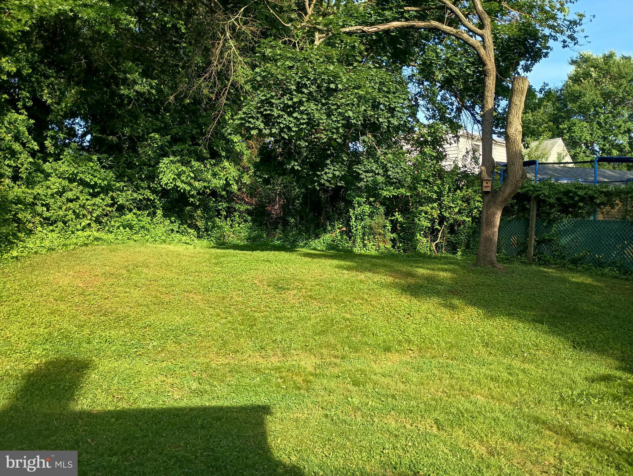 303 Wynnewood Road Ewing, NJ 08628 - Photo 4 of 28 Yard