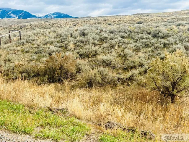 $143,000 | Tbd Sagebrush Drive, Salmon, ID 83467