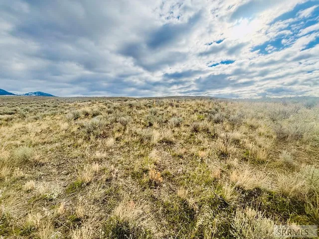 $143,000 | Tbd Sagebrush Drive, Salmon, ID 83467