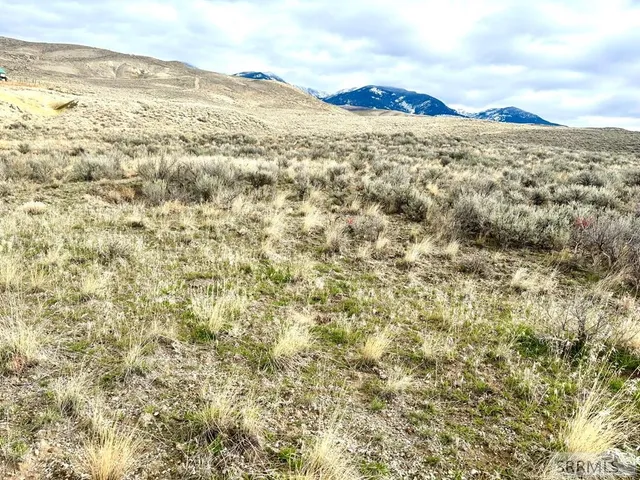 $143,000 | Tbd Sagebrush Drive, Salmon, ID 83467