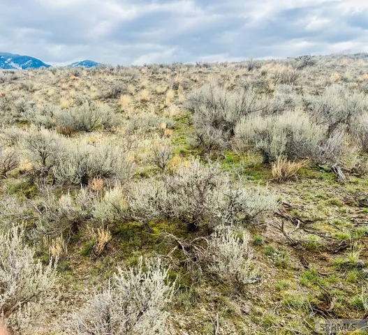 $143,000 | Tbd Sagebrush Drive, Salmon, ID 83467