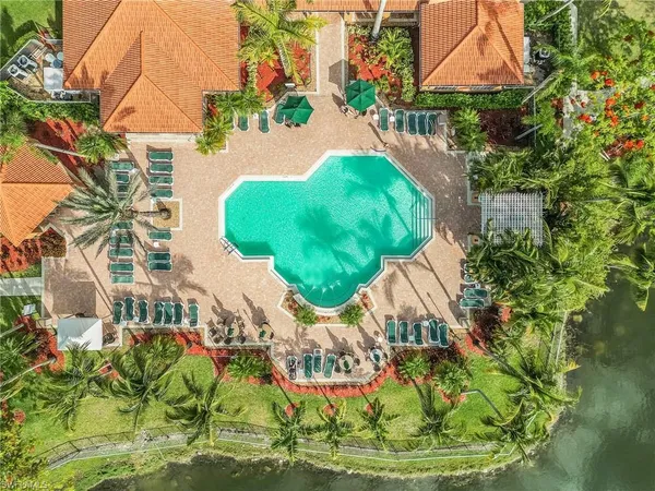 a view of a swimming pool with a yard and plants