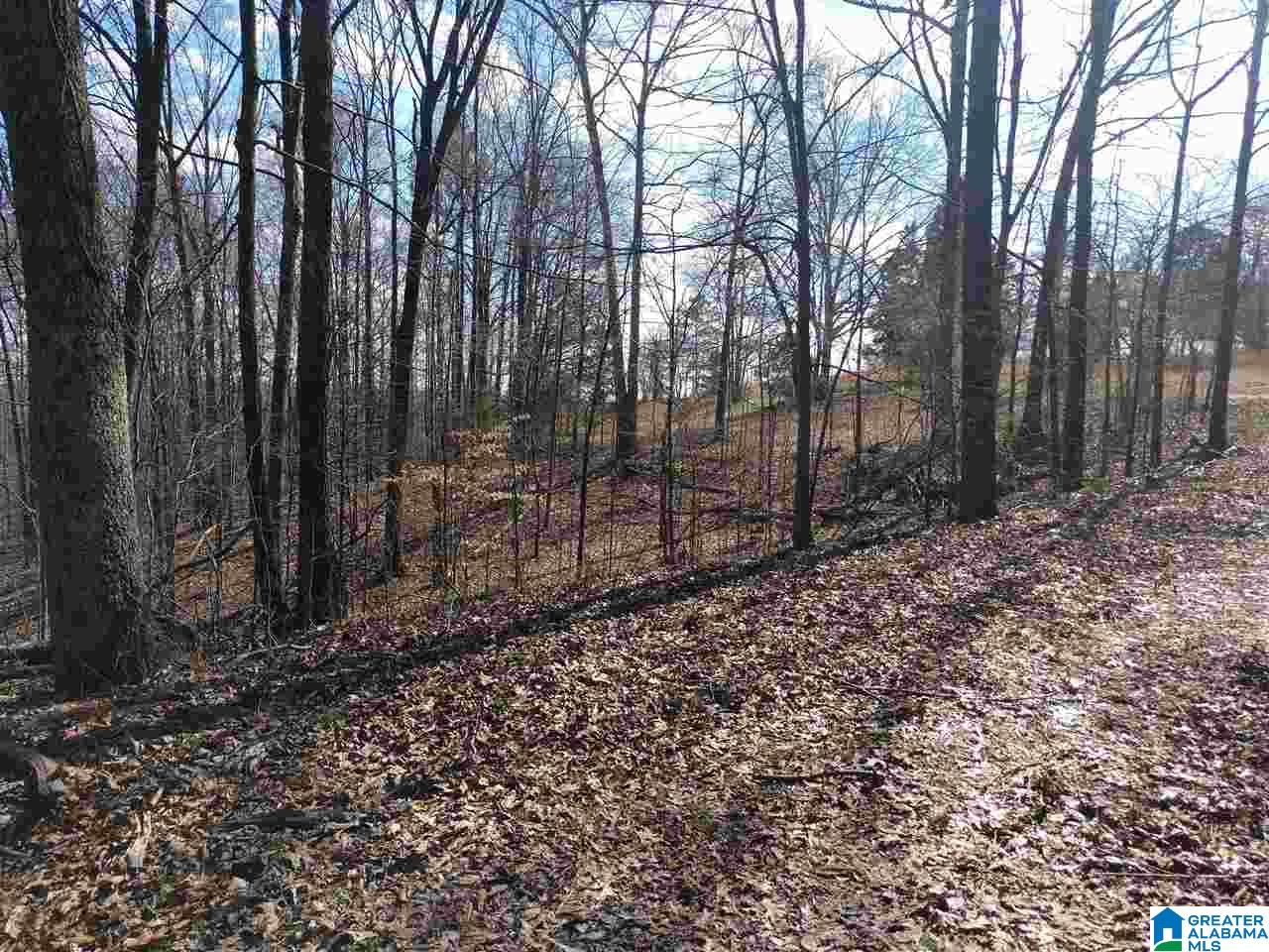 500 Lake Street Springville, AL 35146 - Photo 28 of 31