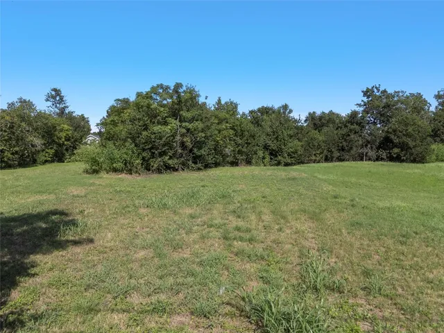 a view of a field with trees in background