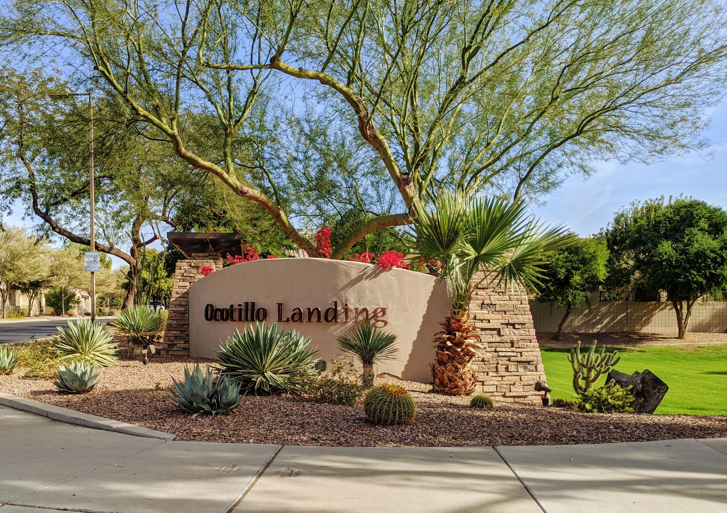 21019 East Avenida Del Valle Queen Creek, AZ 85142 - Photo 47 of 52 a view of a potted plants next to a road