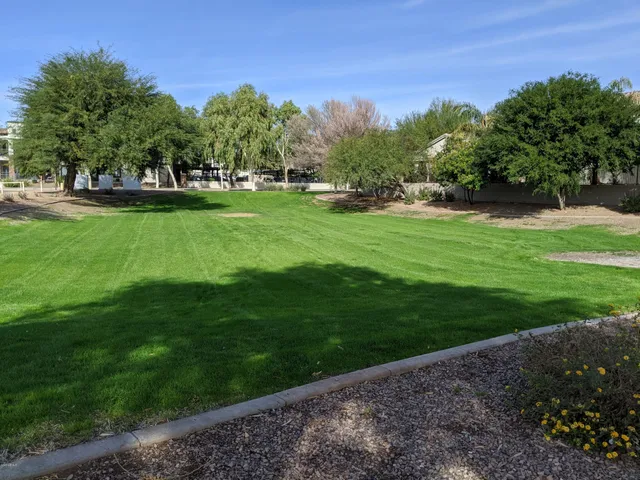 a view of a backyard and floor to ceiling window