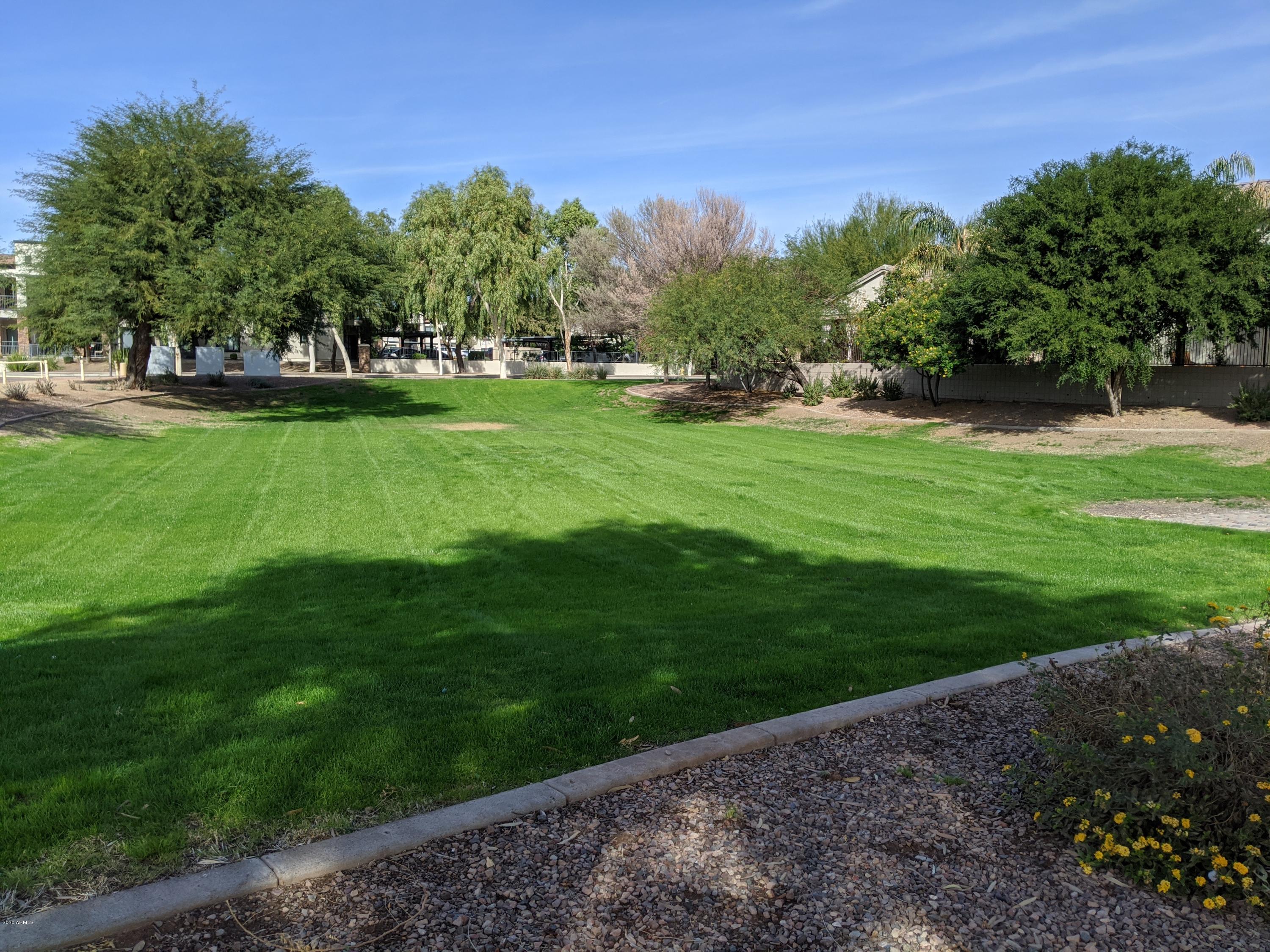 21019 East Avenida Del Valle Queen Creek, AZ 85142 - Photo 48 of 52 a view of grassy field with benches
