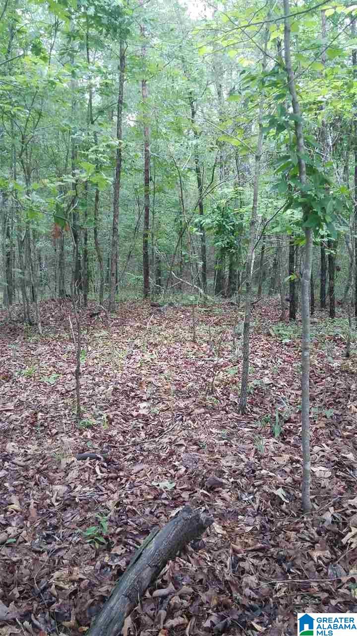 5771 Rex Street Leeds, AL 35094 - Photo 3 of 3