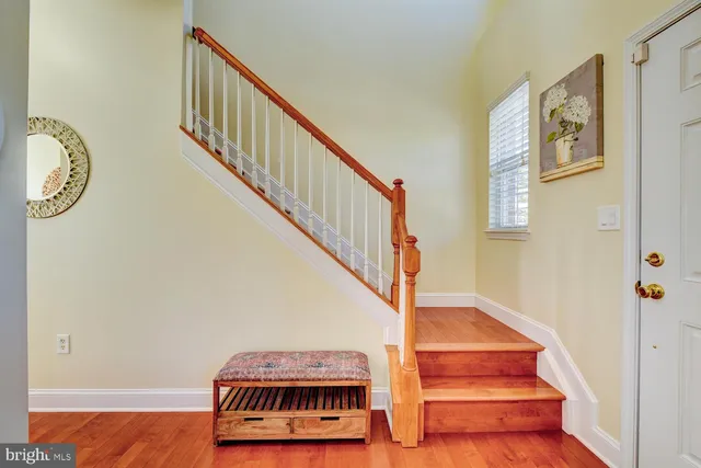 a view of staircase with wooden floor and a potted plant