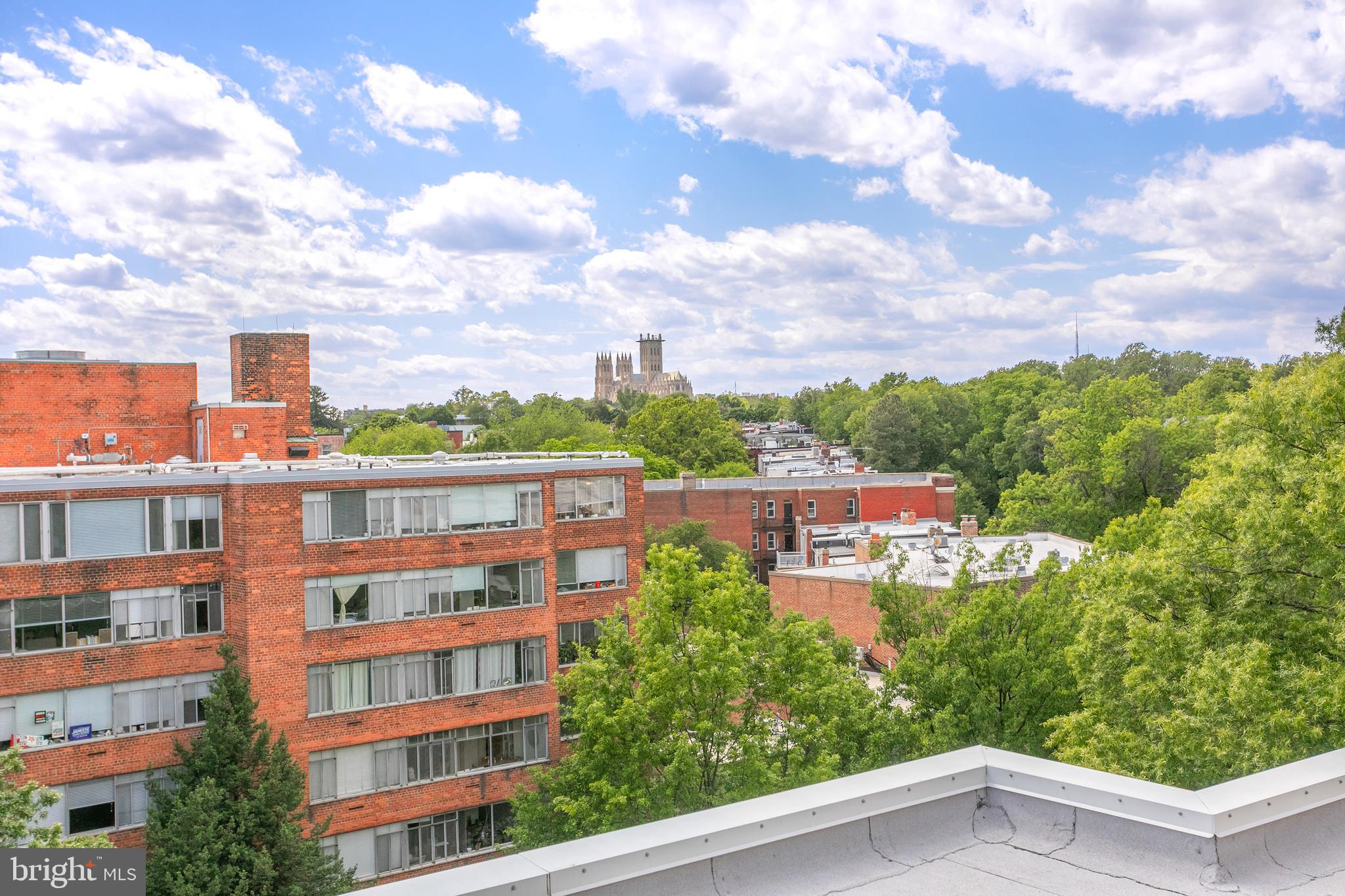 2829 Connecticut Avenue Northwest, Unit 103 Washington, DC 20008 - Photo 24 of 33 Rooftop Views