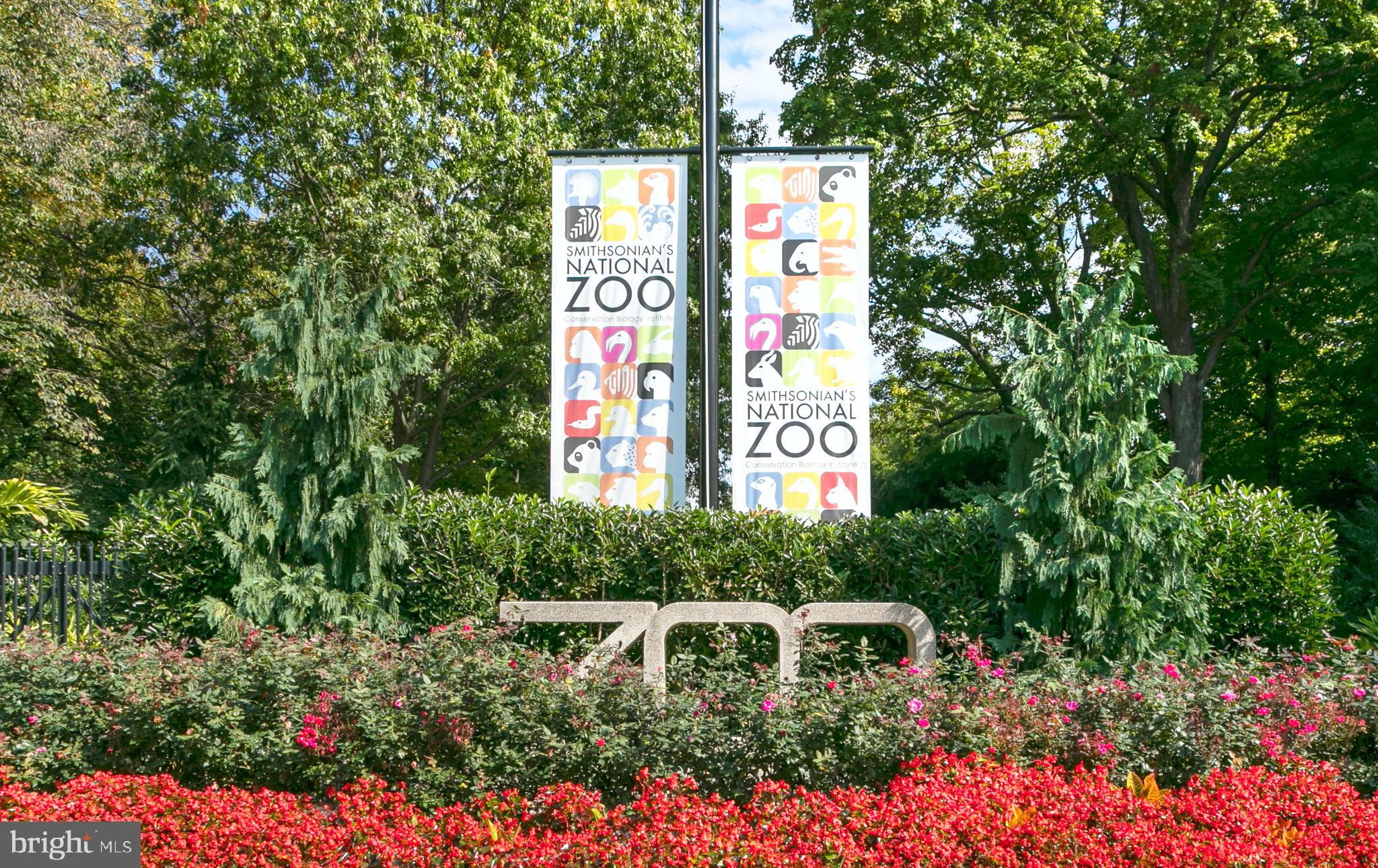 2829 Connecticut Avenue Northwest, Unit 103 Washington, DC 20008 - Photo 31 of 33 National Zoo steps away!