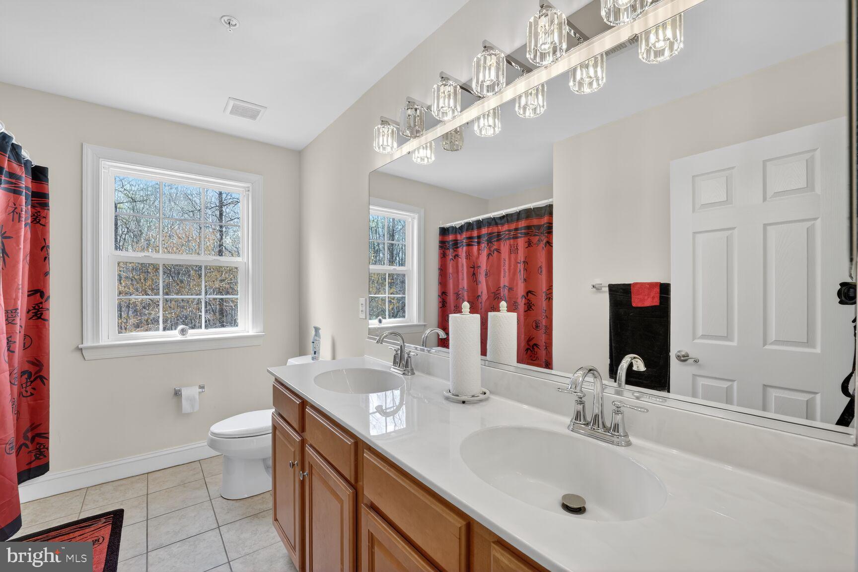 15900 Tanyard Road Upper Marlboro, MD 20772 - Photo 10 of 34 a bathroom with a double vanity sink a mirror and a toilet