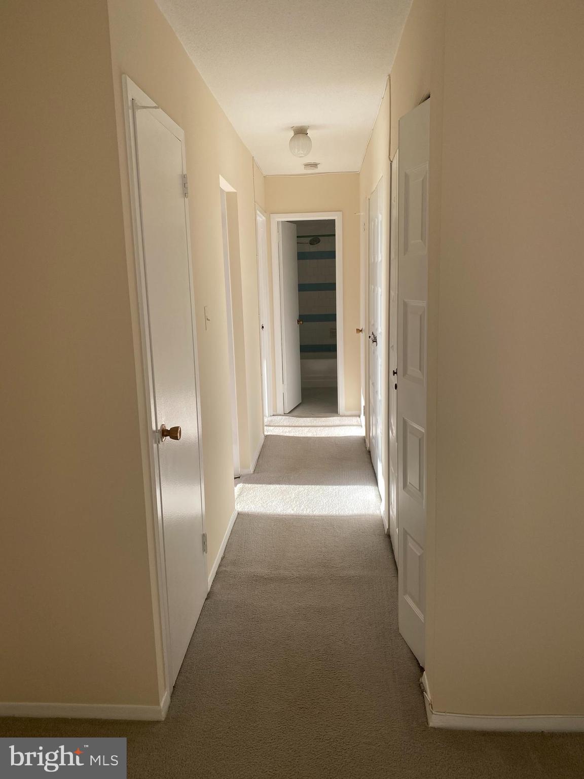 501 Slaters Lane, Unit 502 Alexandria, VA 22314 - Photo 16 of 24 Hallway to bedroom