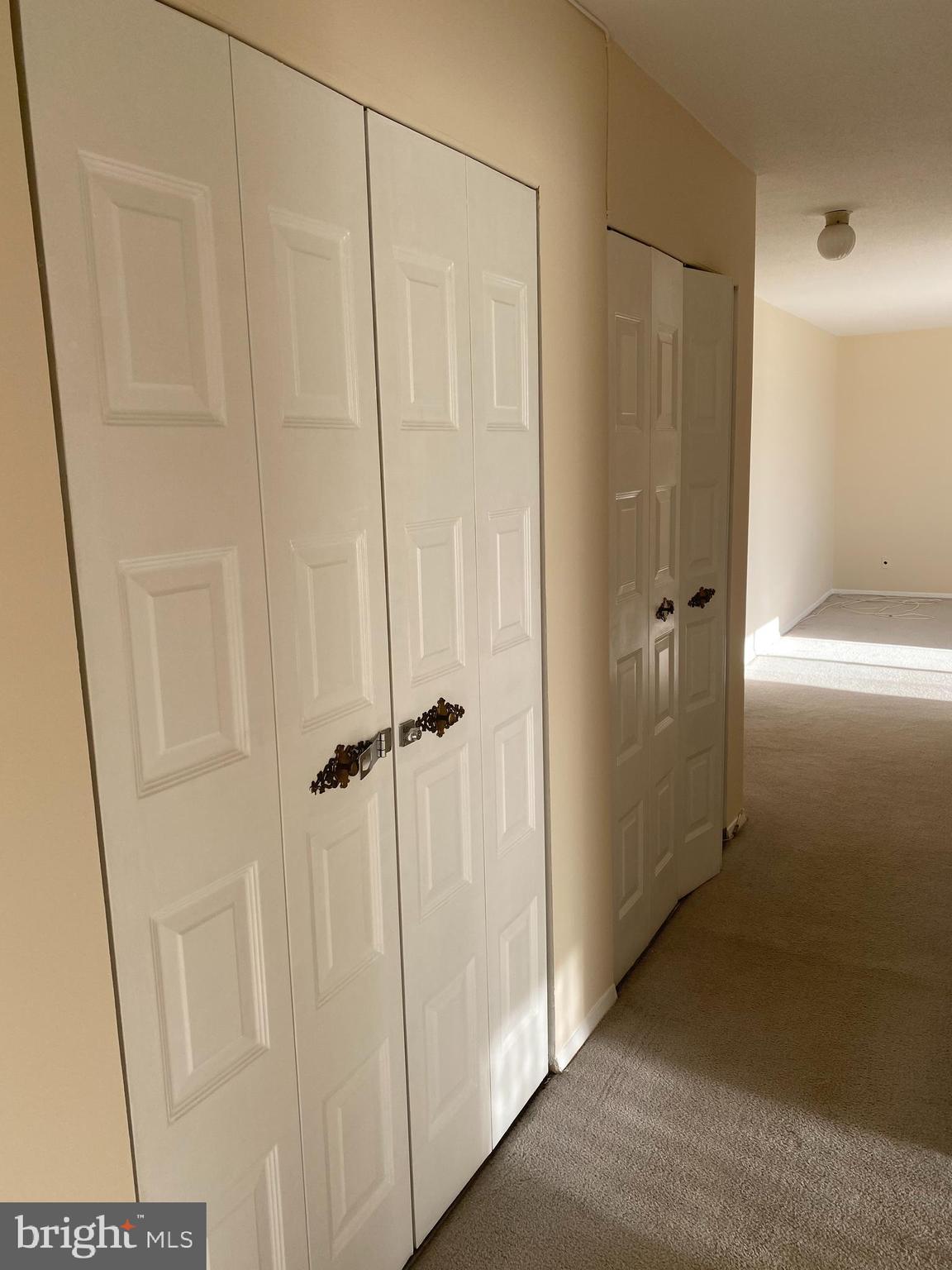 501 Slaters Lane, Unit 502 Alexandria, VA 22314 - Photo 24 of 24 Four additional closets in hallway