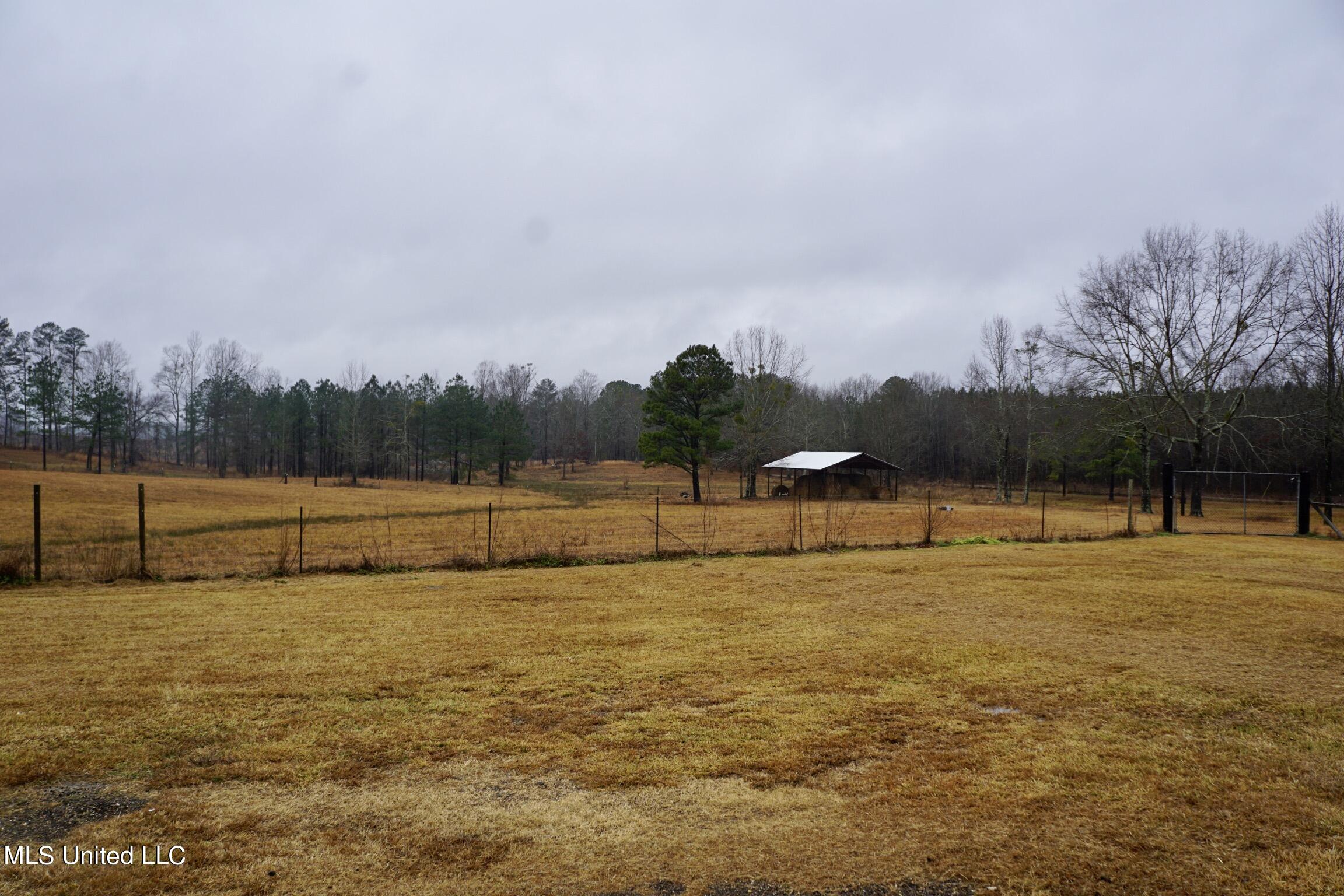 719 Glaze Road Forest, MS 39074 - Photo 18 of 18 80E21783-B8BB-493A-8FE2-B5052C101717