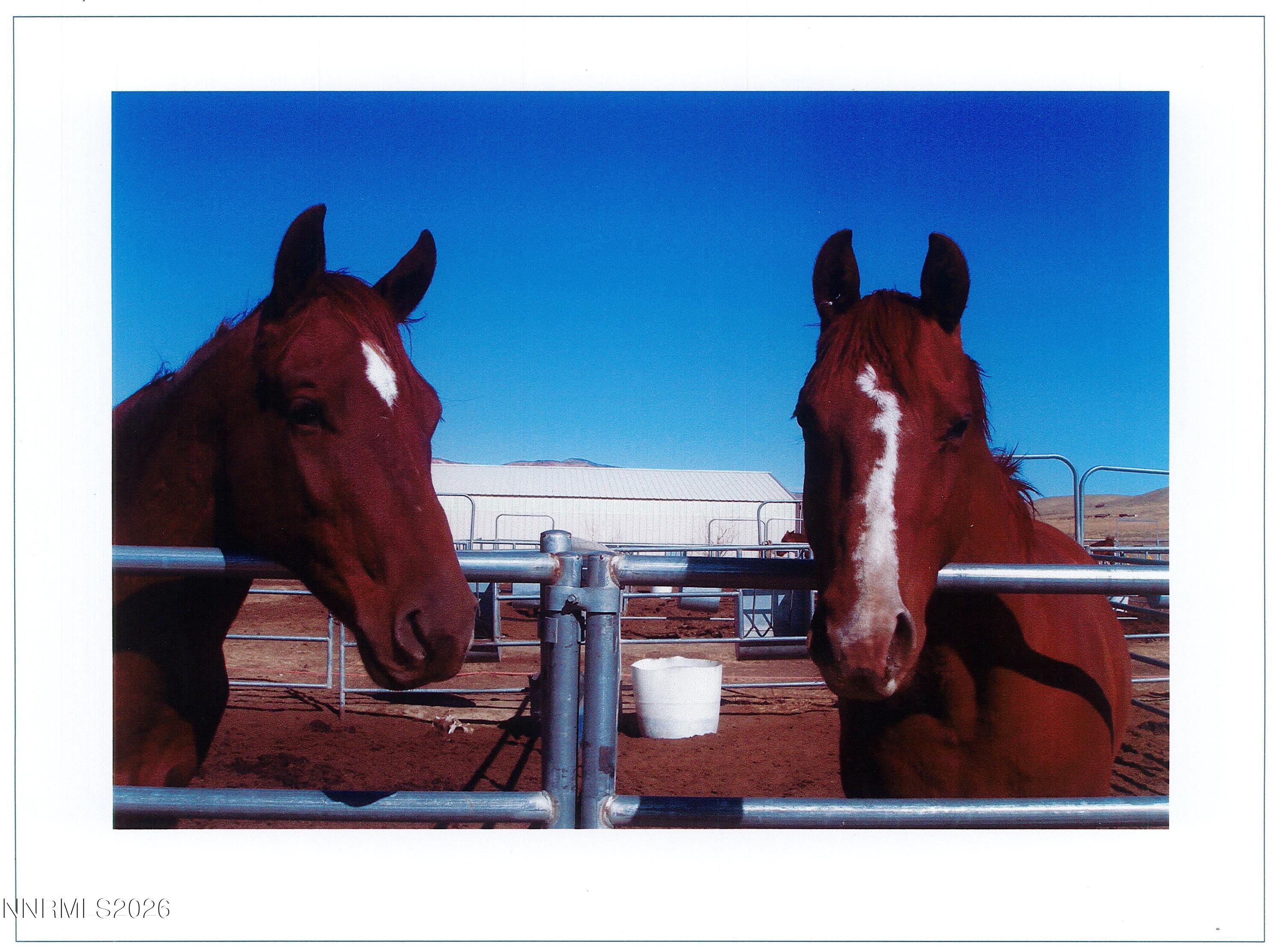 16500 Pyramid Highway Reno, NV 89510 - Photo 16 of 83 Page0004