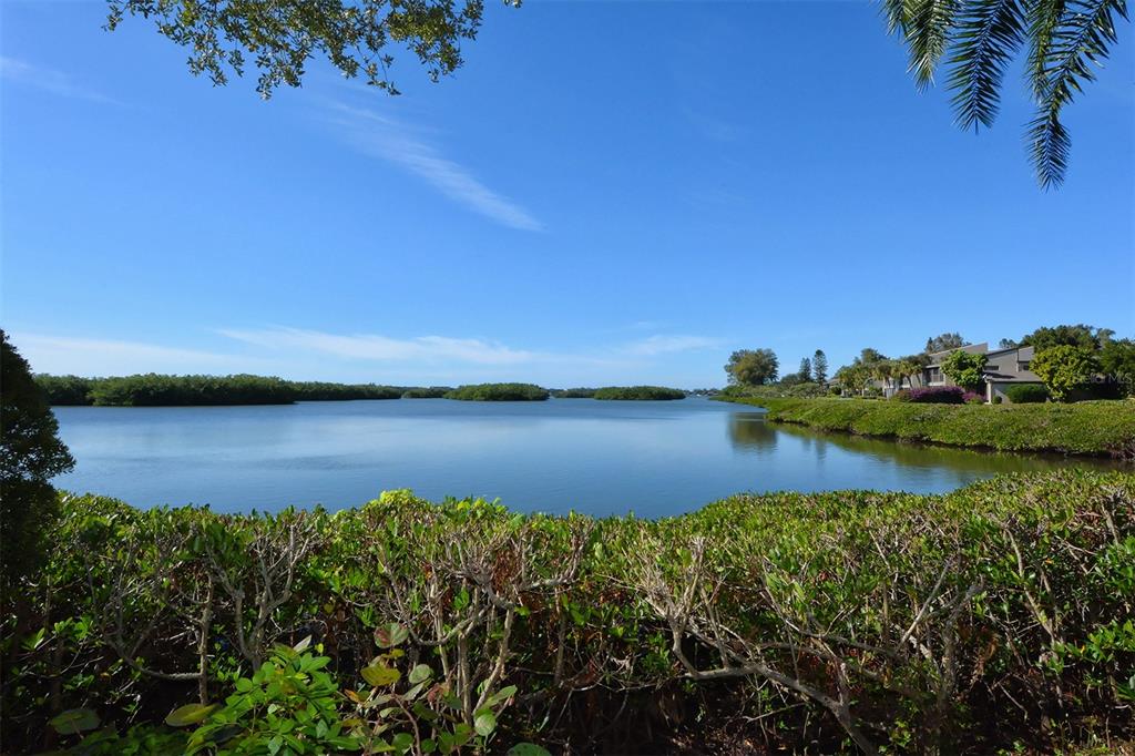 1709 Pelican Cove Road, Unit GL349 Sarasota, FL 34231 - Photo 15 of 29 a view of lake with green space