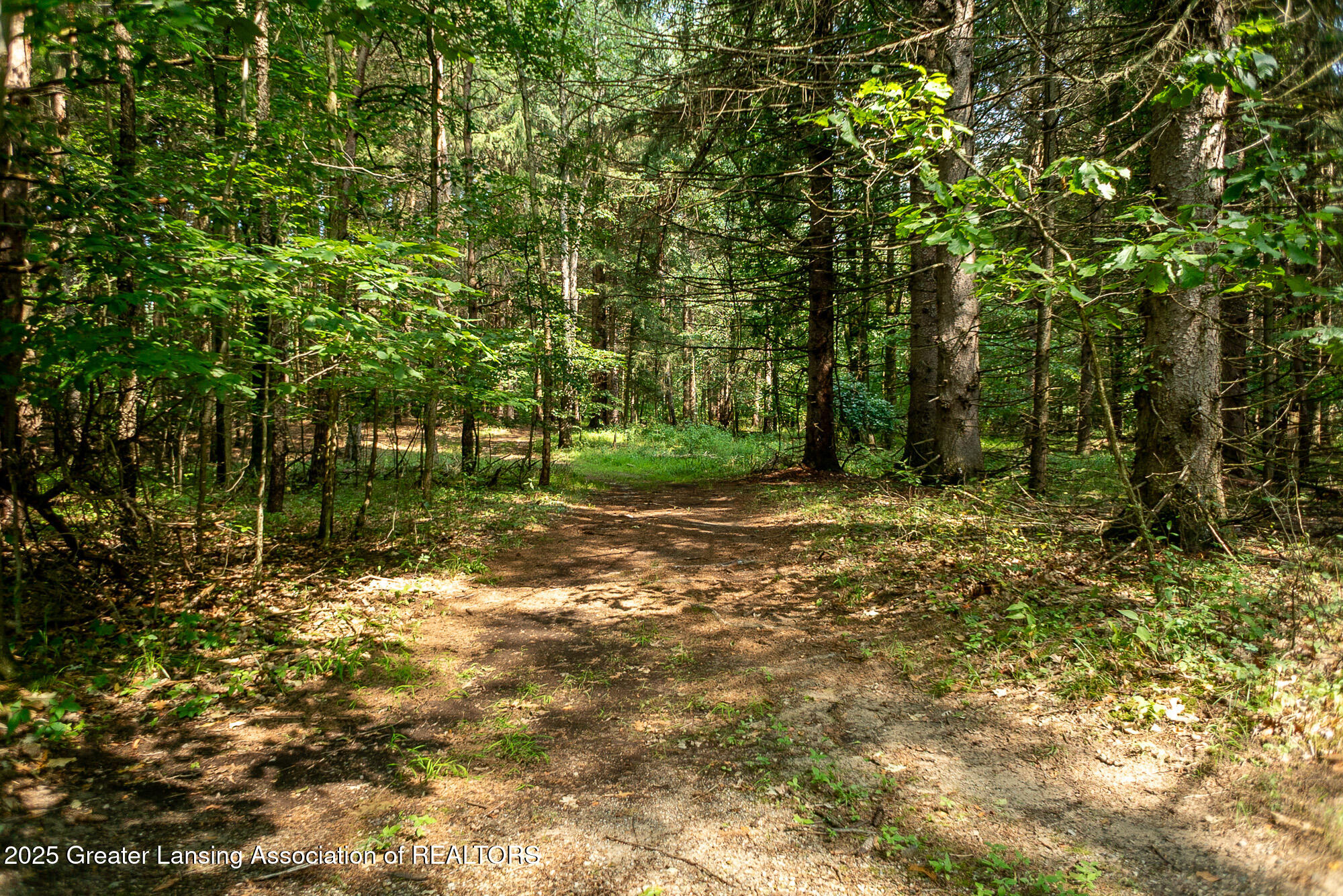 7535 West Polk Road Alma, MI 48801 - Photo 82 of 86 7535 W Polk Rd Sumner MI-138