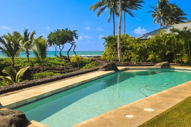 a view of a garden with a palm tree