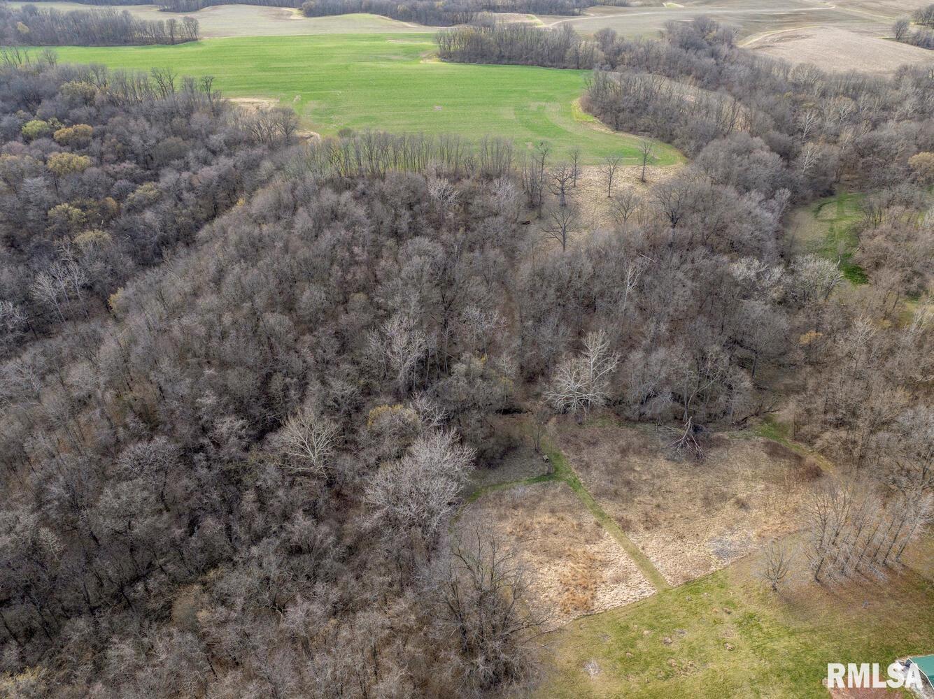 31982 Sheldons Grove Road Browning, IL 62624 - Photo 56 of 79