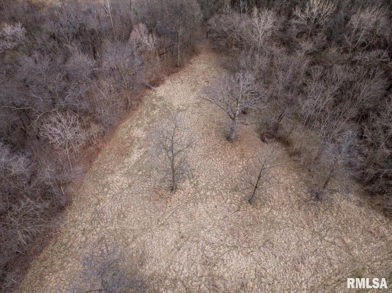 31982 Sheldons Grove Road Browning, IL 62624 - Photo 72 of 79