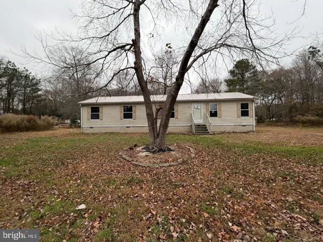 a white house that has a tree in front of it