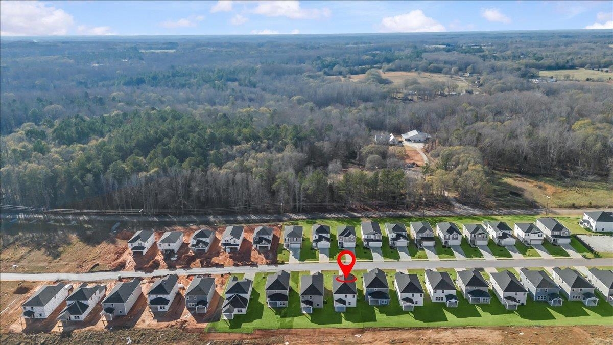 119 Bechler Drive Gray Court, SC 29645 - Photo 30 of 41
