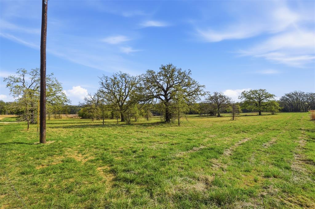 3020 Turkey Court Perrin, TX 76486 - Photo 11 of 19